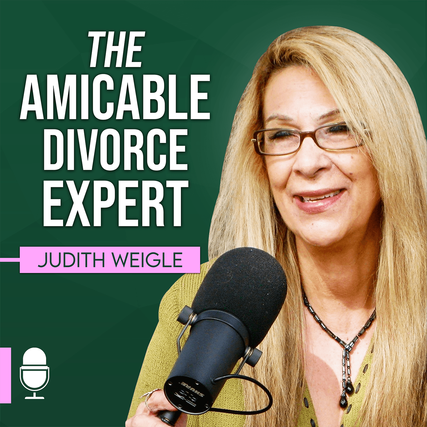 The Amicable Divorce Expert